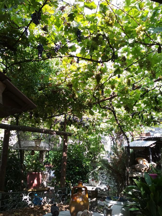 Karafil Guesthouse Gjirokaster Exterior photo